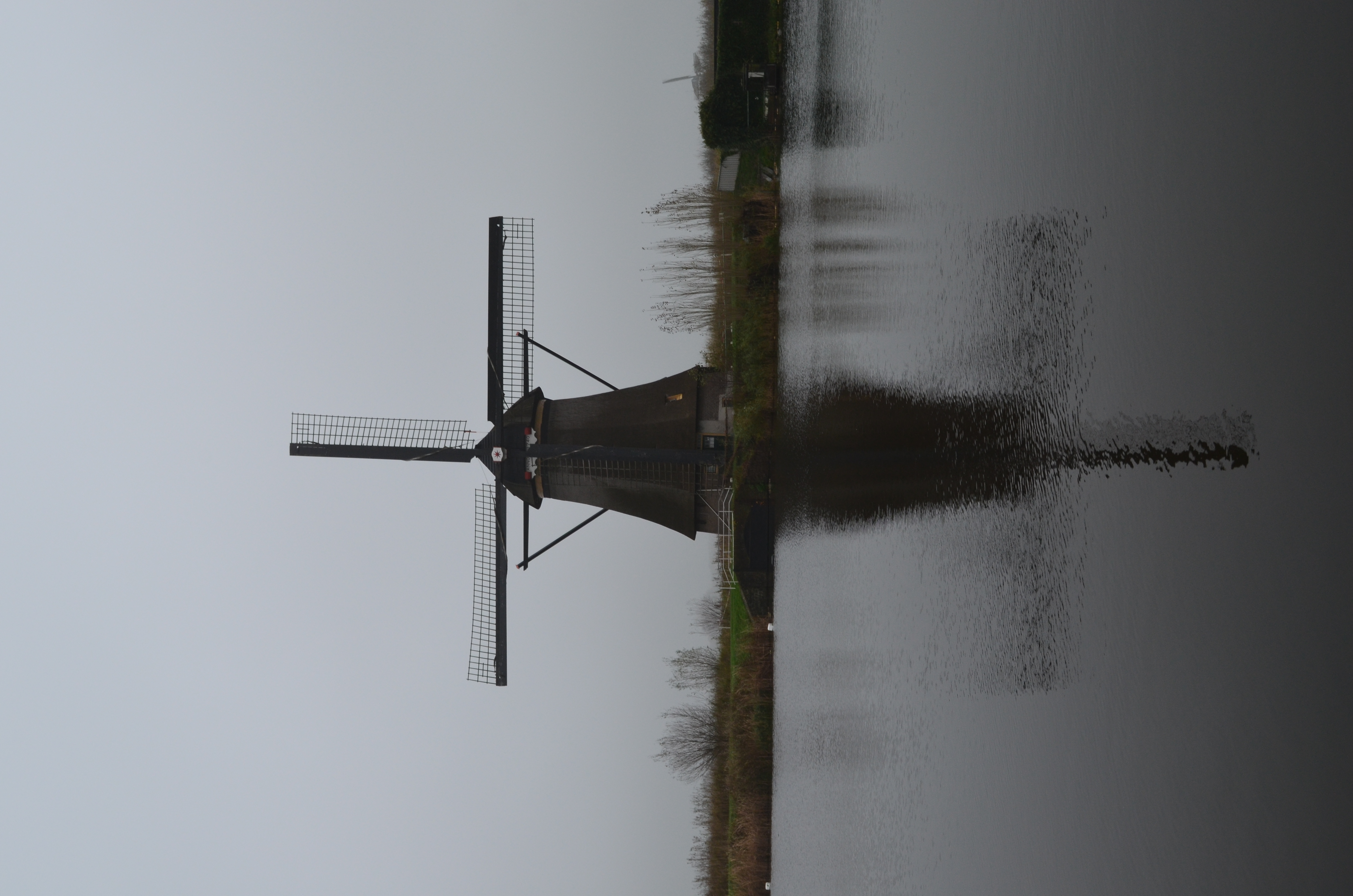./2017/19 - Viking Lif/12 - Kinderdijk, The Netherlands/DSC_0334.JPG